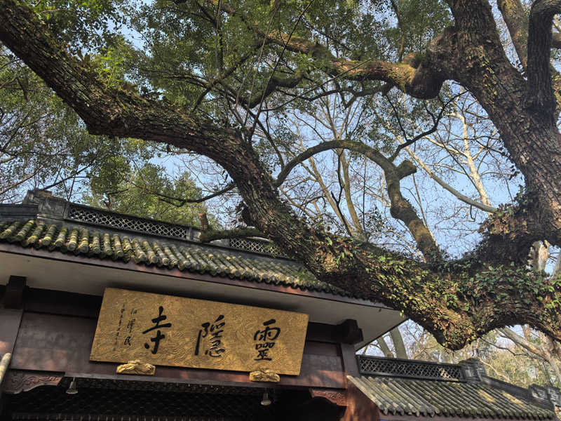 6387722193908307164005531 图片344.jpg