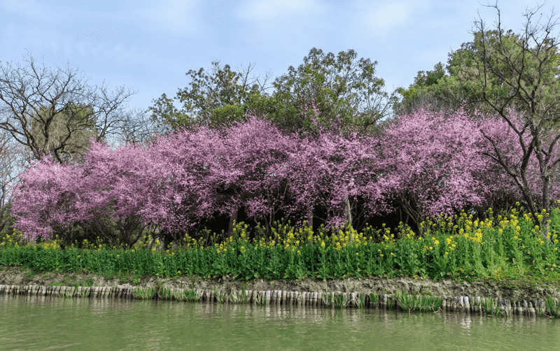 6387722201194244667479229 图片366png.png