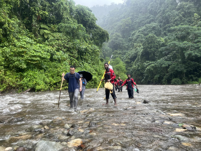 万水千山只等闲，践行六讲勇向前 ——所罗门金岭水电站项目勘察工作侧记